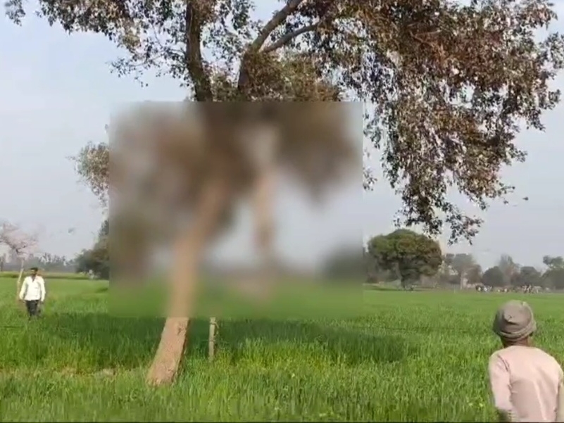 आधी रात काे बिना बताए घर से निकला 21 वर्षीय युवक, सुबह पेड़ पर फंदे से लटकी मिली लाश