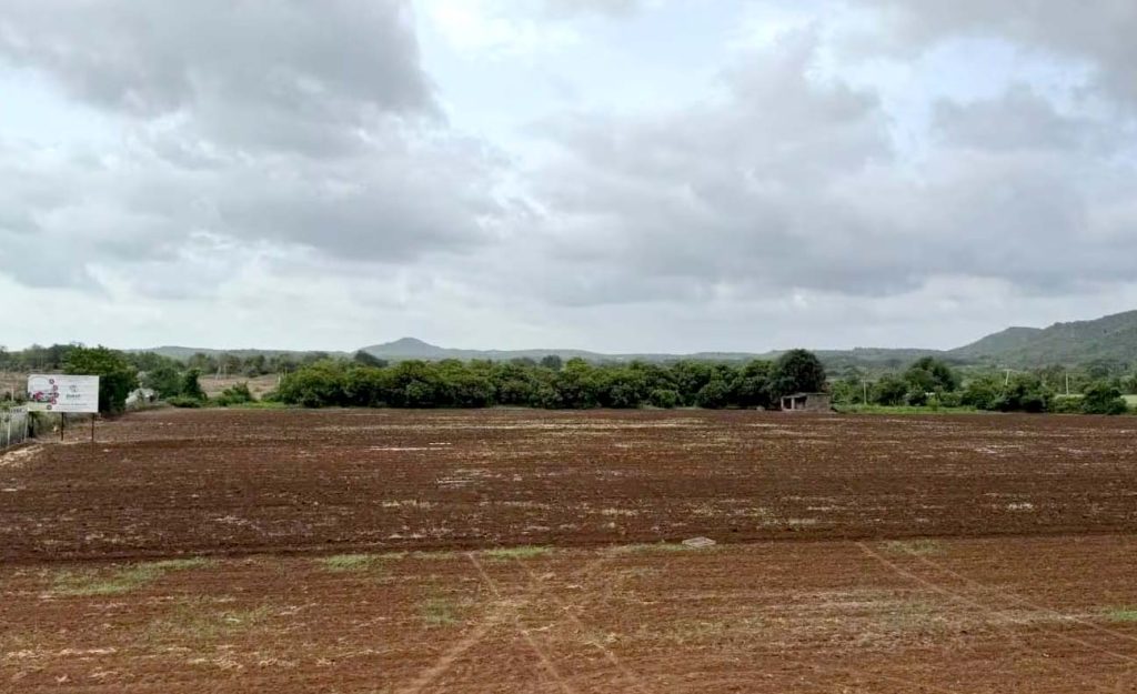 जमीनी सौदों की जांच को राजस्व विभाग से मांगा रिकार्ड, भूमि के लेन-देन-धारा 118 के उल्लंघन की छानबीन करेगी SIT